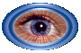� 1999-2007 ROHNER.ORG