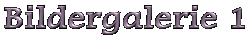 Bildergalerie 1