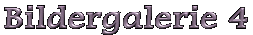 Bildergalerie 4